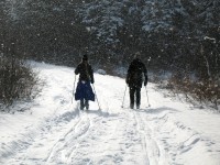 Michigan skiing.