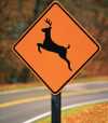 Michigan deer crossing sign.