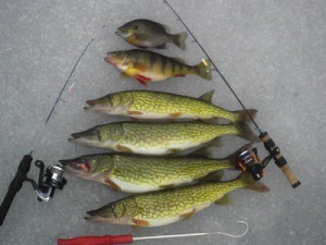 Ice fishing Michigan.