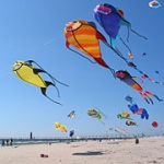 Michigan kite festivals are fun!