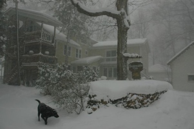 Northern Michigan Lodging