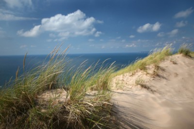 Save the Lake Michigan Dunes.