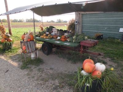 Michigan roadside markets.