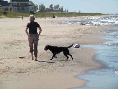 Michigan dog beach.