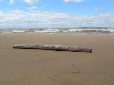 Michigan beach art.