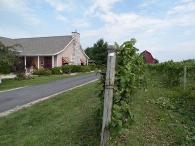 Pulling into Ciccone Winery