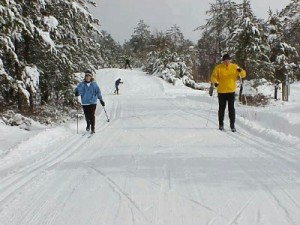 Cross country ski in Michigan.