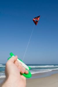 Kite on a Michigan beach.