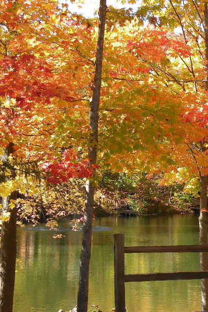 Northern Michigan fall colors.