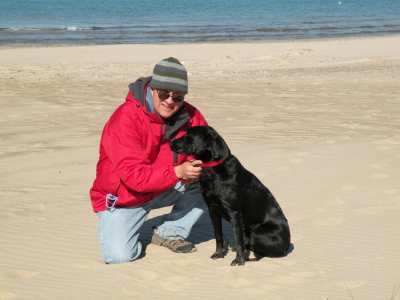 Dog beaches along Lake Michigan.