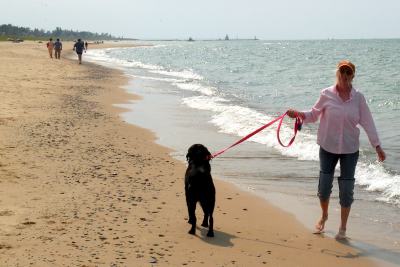 SW MI. Rocky Gap beach.