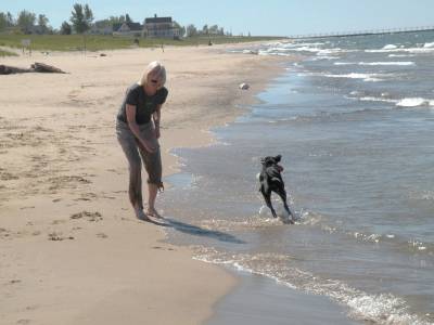 Lake Michigan pet friendly.